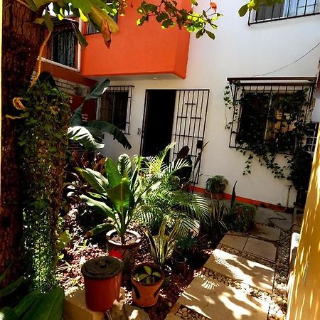 Casa Lomas Del Marinero Internet Starlink Sin Garaje Puerto Escondido (Oaxaca) Exterior foto