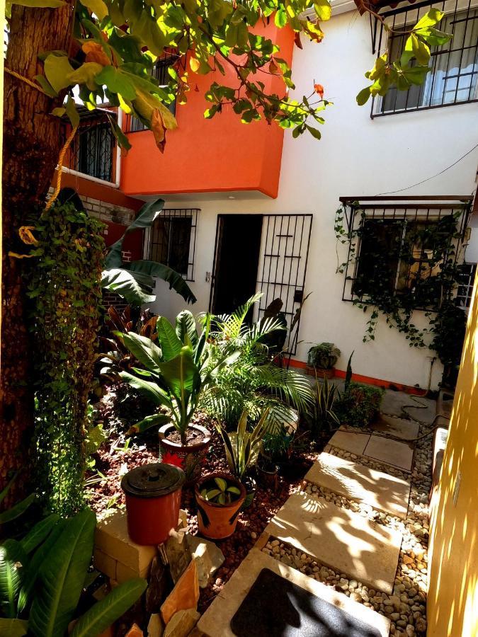 Casa Lomas Del Marinero Internet Starlink Sin Garaje Puerto Escondido (Oaxaca) Exterior foto