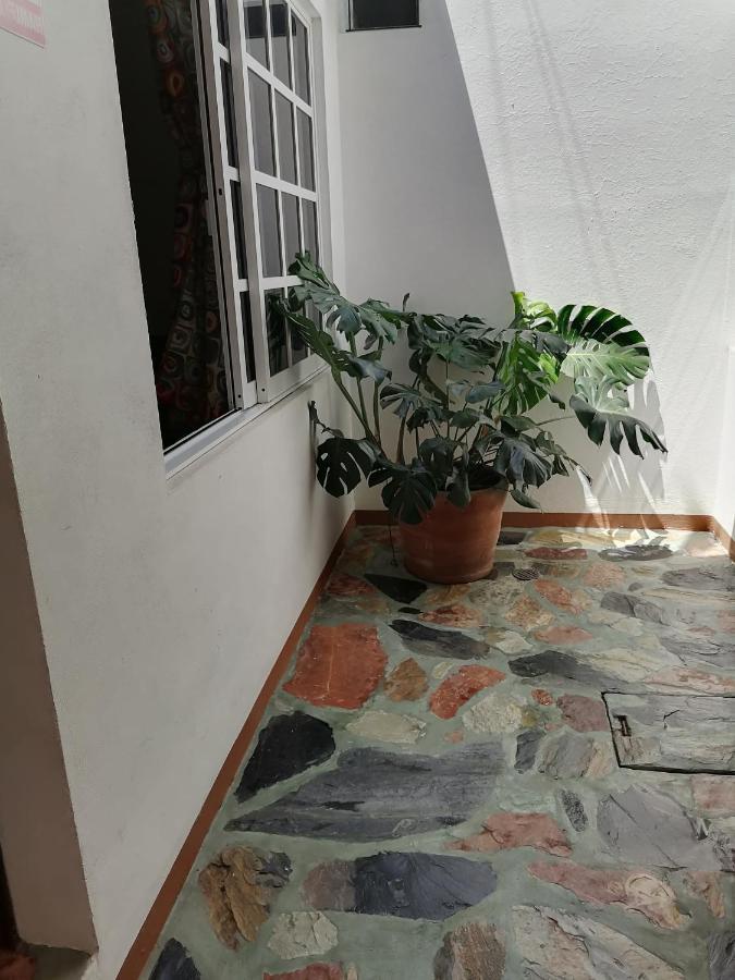 Casa Lomas Del Marinero Internet Starlink Sin Garaje Puerto Escondido (Oaxaca) Exterior foto